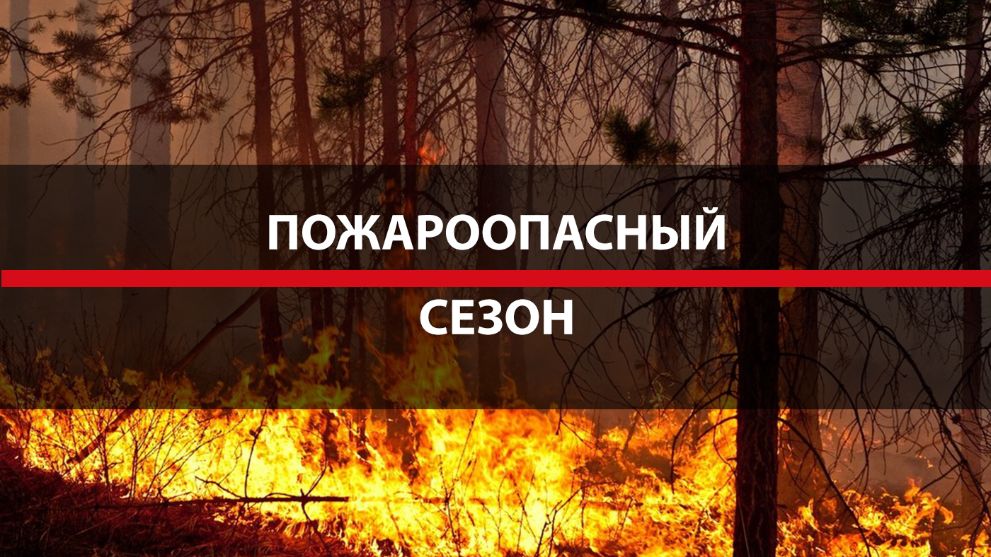 Объявлен пожароопасный сезон на всей территории Томской области..