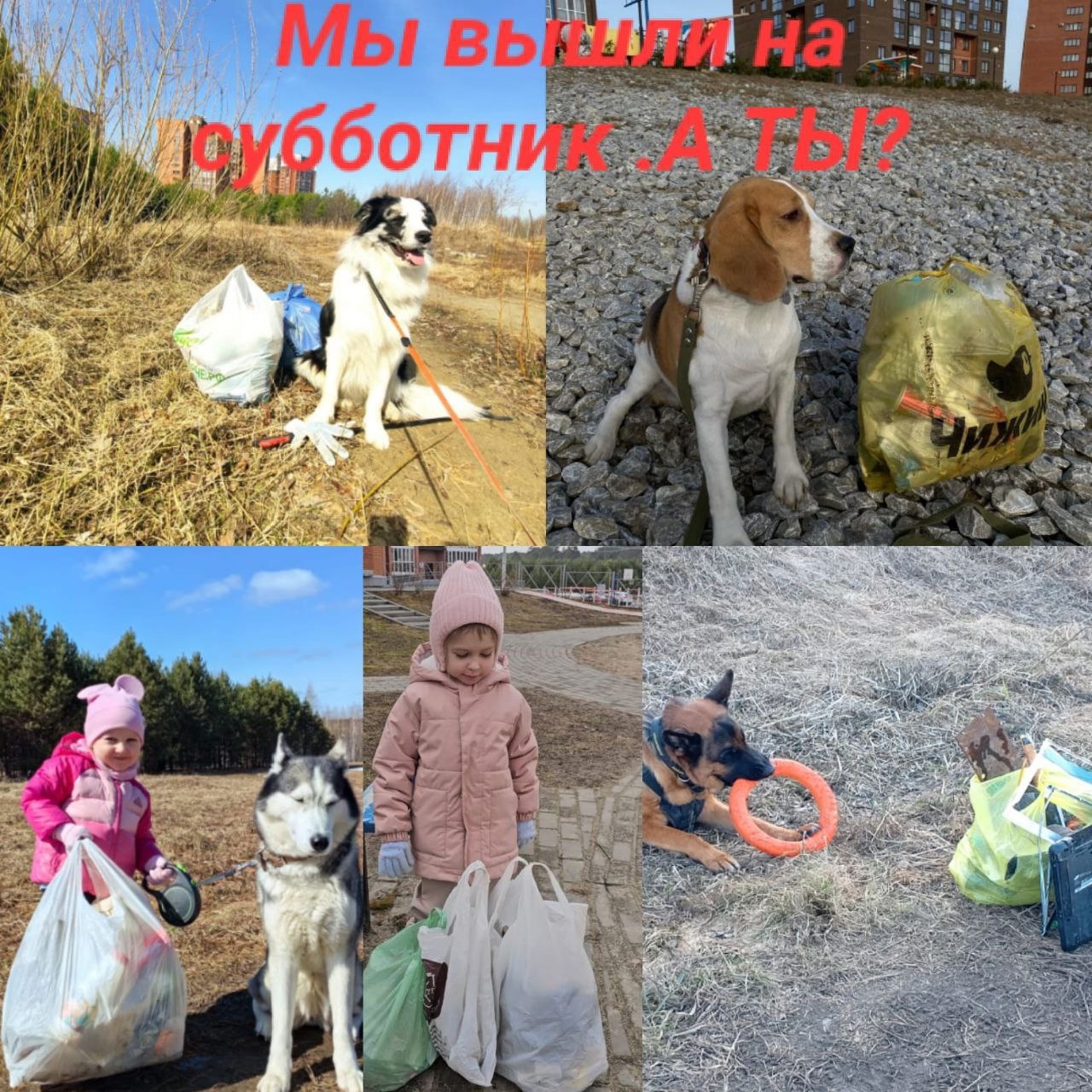 Субботник в мкр. &quot;Северный&quot; – начало большого преображения! .