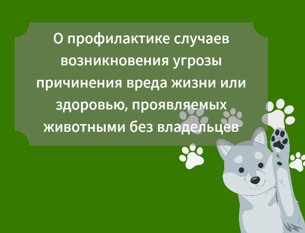 Правила поведения при встрече с животными без владельцев.