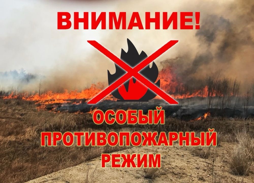 В Томском районе установлен особый противопожарный режим.